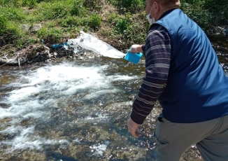 İLAÇLAMA ÇALIŞMALARI BAŞLATILDI