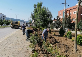 İLÇE DEVLET HASTANESİ YOLUNDA PEYZAJ ÇALIŞMASI BAŞLATILDI